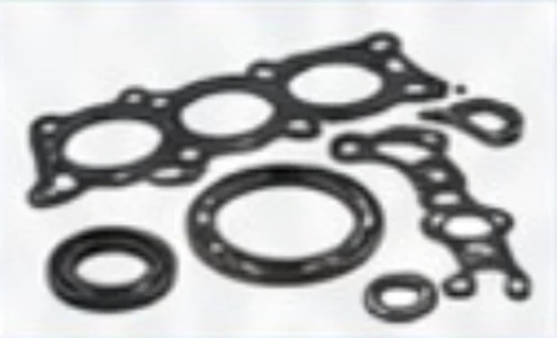 Gaskets & Seals