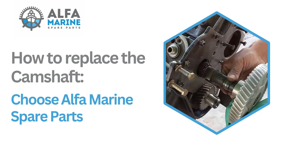 How to replace the Camshaft: Choose Alfa Marine Spare Parts