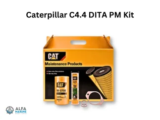 Cat Maintenance Parts for Engines & Electrical Systems